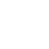 mouse B4 cpu