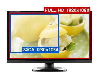iiyama｜ProLite E2382HSD