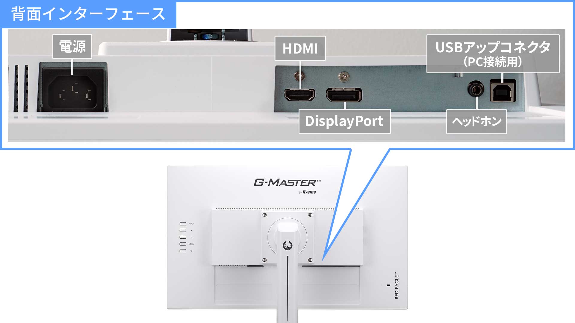 A3原寸大表示が可能