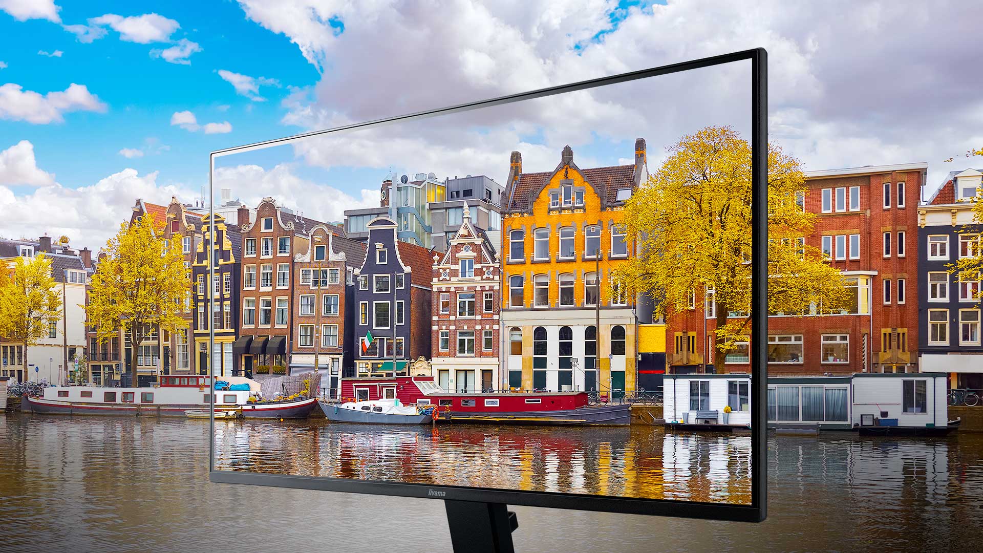 視認性に優れたIPS方式パネル