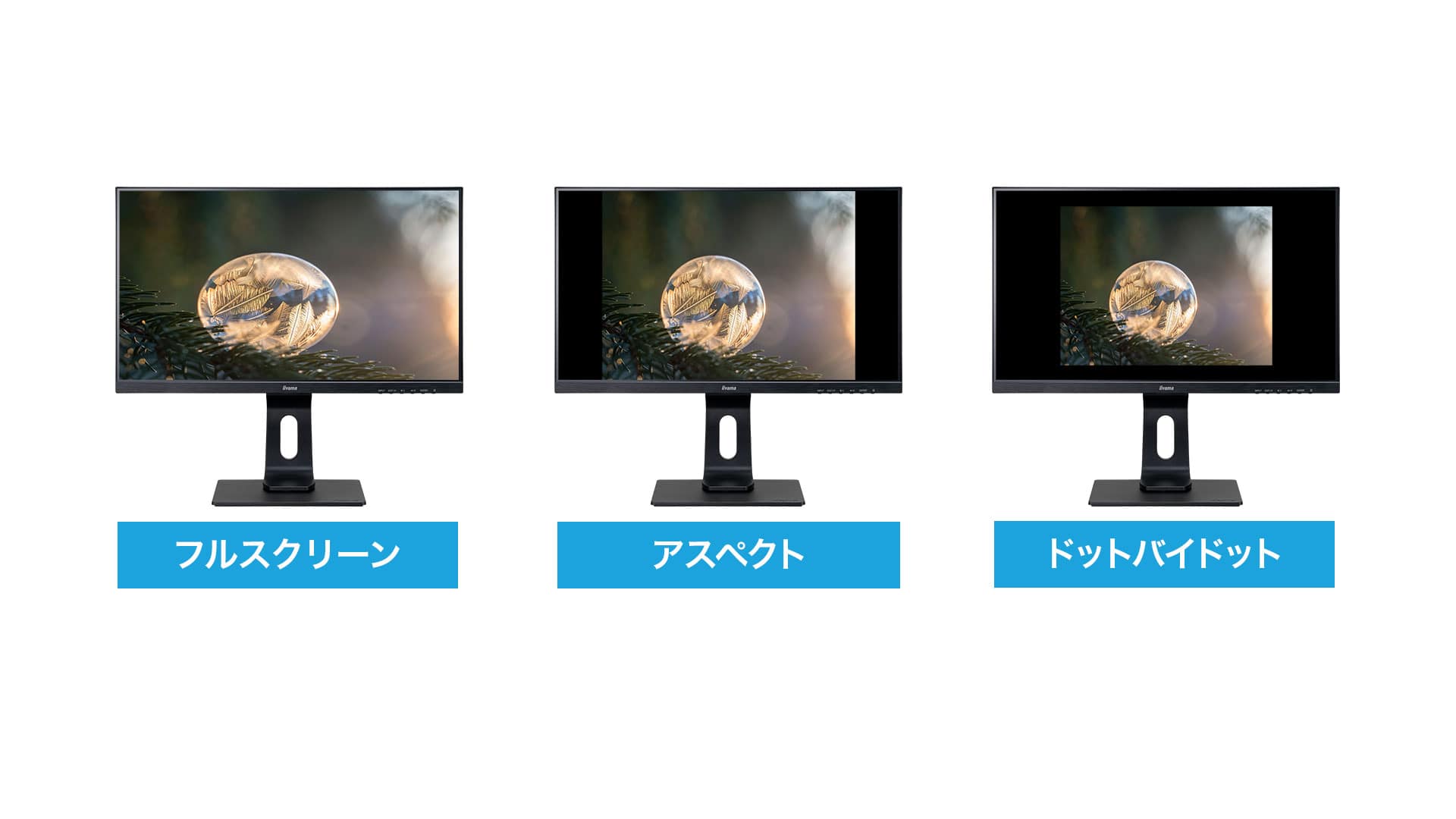 アスペクト比固定拡大モード