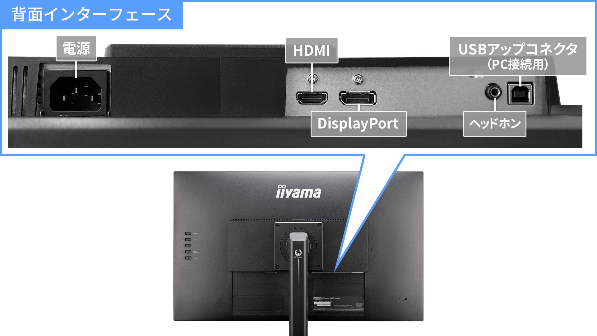 A3原寸大表示が可能