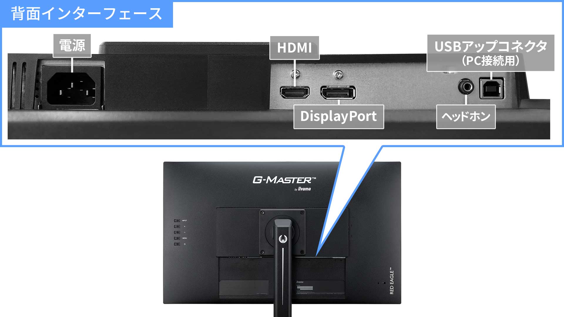 A3原寸大表示が可能