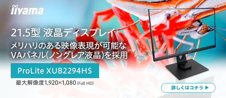 21.5型 VAパネル iiyama ProLite XUB2294HS