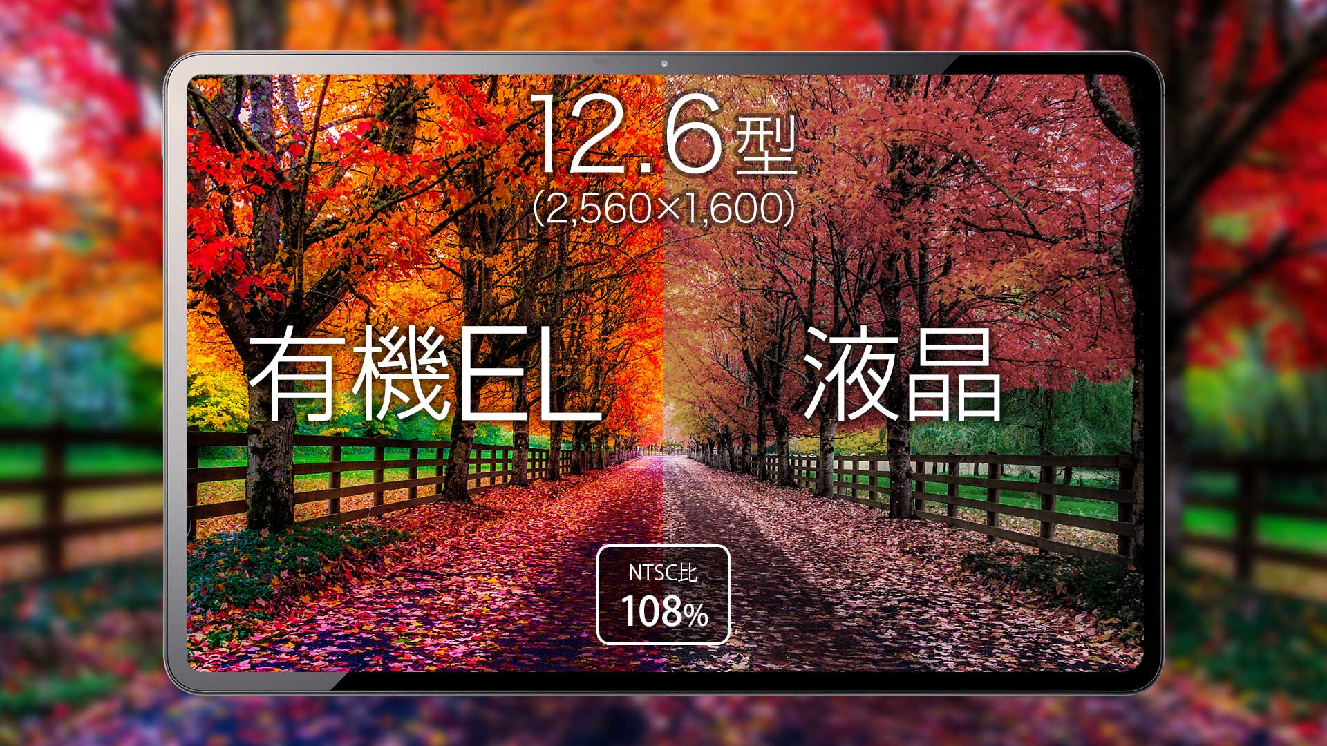 NTSC比 108%の表示に対応したタッチ対応有機ELパネル搭載