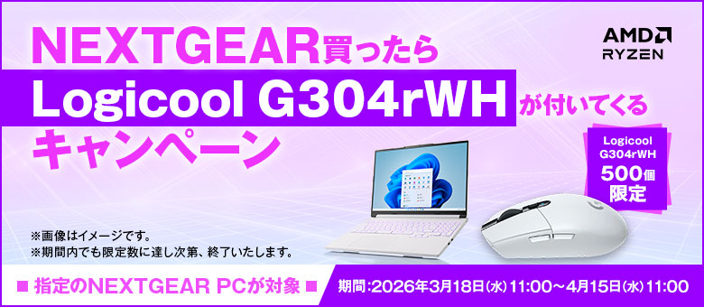 NEXTGEAR G304rWH